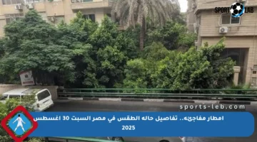 أمطار مفاجئة.. تفاصيل حالة الطقس في مصر السبت 30 أغسطس 2025